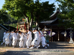 写真６ 関神社の神輿、御旅所にて