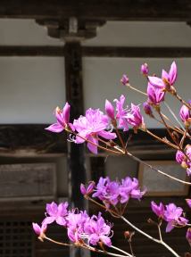写真３ 百済寺
