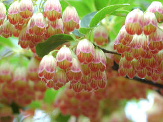 写真１