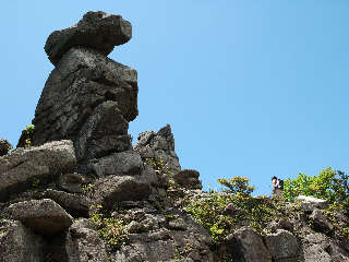 写真５