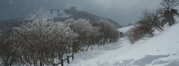 写真4 御在所岳 山頂遊歩道にて 写真4