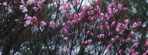 写真5 写真5