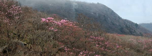 写真2 キノコ岩から 写真2