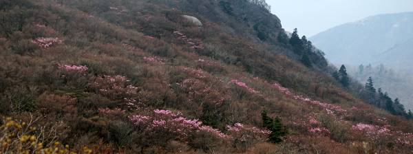 写真3 国見岳北面 写真3