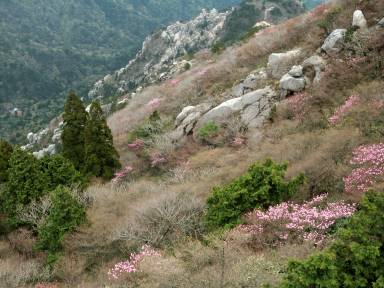 写真4 北谷 写真4