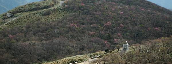 写真2 望湖台から 写真2