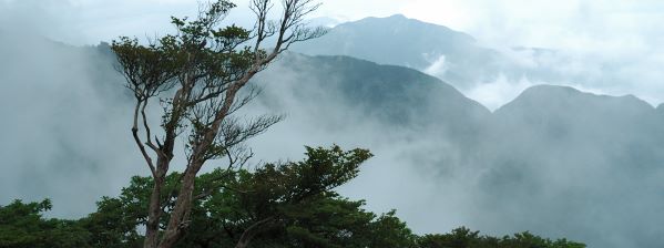 釈迦ヶ岳 ハライド 写真4