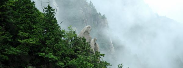 恵比寿岩かな 写真5