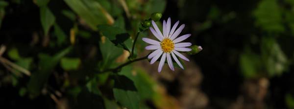 写真3