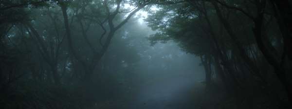 山頂公園にて 写真2
