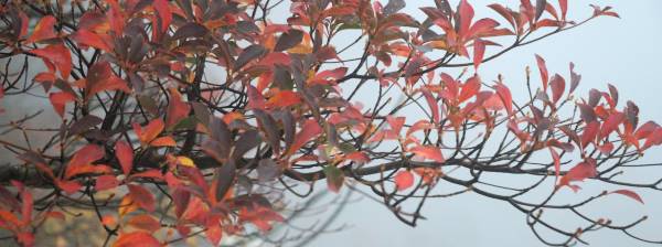 写真2