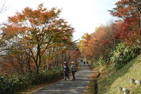 御在所岳・山頂遊歩道にて 写真10