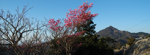 鎌ヶ岳 キレットにて 写真3