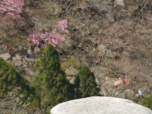 消防隊員 無理矢理に拡大 写真5