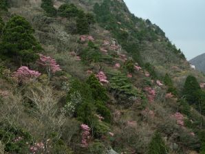 北谷の展望台から 写真9