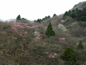 北谷の展望台から中道を見あげる 写真8