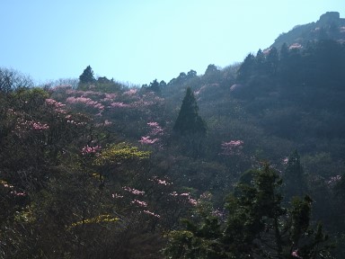 北谷展望台から 写真3