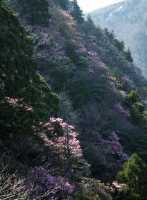 北谷展望台から 写真4