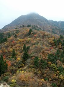 鎌ヶ岳 写真11