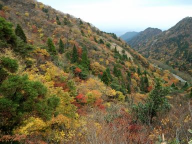 武平峠付近にて 写真10