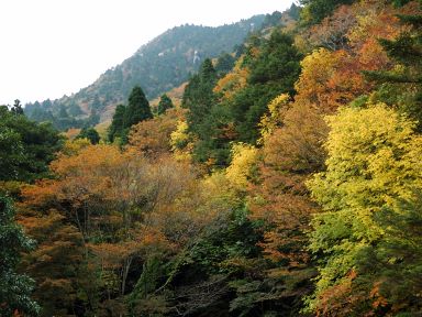 鈴鹿スカイラインにて 写真12