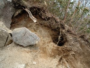 登山道の穴 写真4