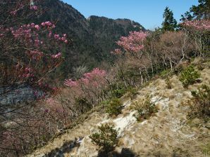 写真13 弥一ヶ岳 写真13