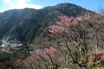 写真14 弥一ヶ岳 写真14