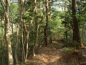 写真11 割谷道 写真11