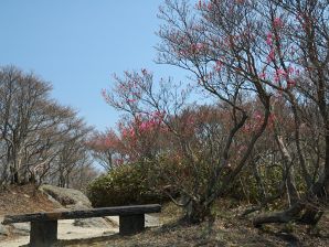 写真4 朝陽台 写真4