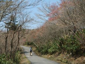 写真6 遊歩道 写真6