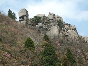 写真7 一ノ谷新道から大黒岩を見上げる 写真7