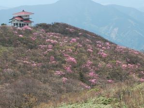 写真6 御岳大権現 写真6