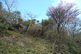 写真9 西尾根 写真9