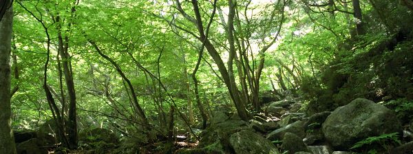 写真7 裏道にて 写真7