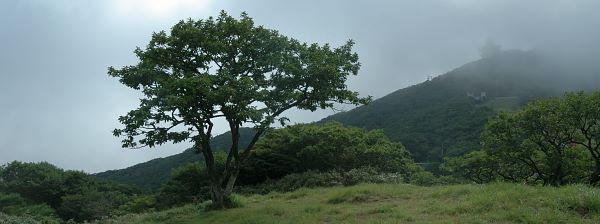 写真7 スキー場の下端付近にて 写真7