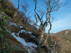 写真8 山頂へ登る 写真8