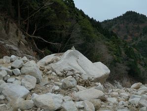 写真9 岩 写真9
