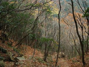 写真13 小峠の紅葉 写真13