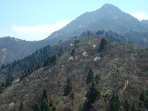 写真12 鎌ヶ岳 武平峠手前から 写真12