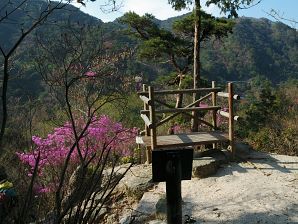 写真20 観音山遊歩道 写真20