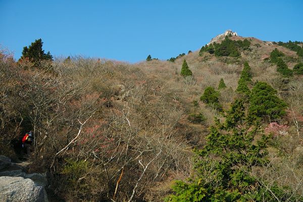 写真2 テラス(中道) 写真2