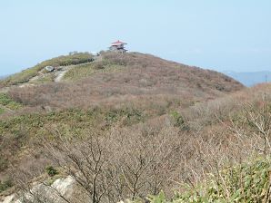 写真9 御嶽神社 花が見えない 写真9