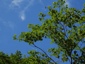 写真8 写真8
