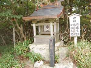 写真11 写真11