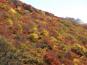 写真12 写真12
