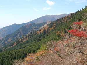 写真9 武平峠付近にて 写真9