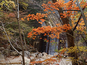 写真12 写真12