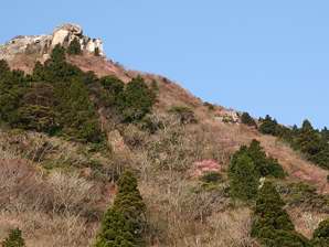 写真5 写真5