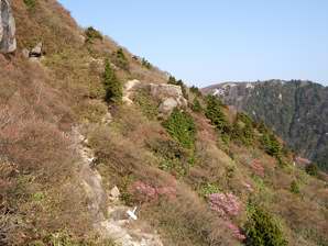 写真7 写真7